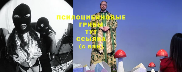 мяу мяу мука Переславль-Залесский