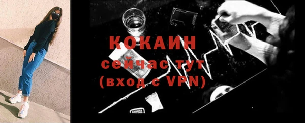 крисы Пересвет