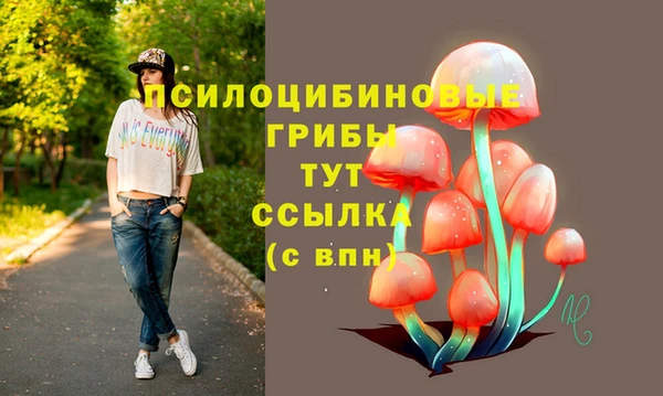 крисы Пересвет