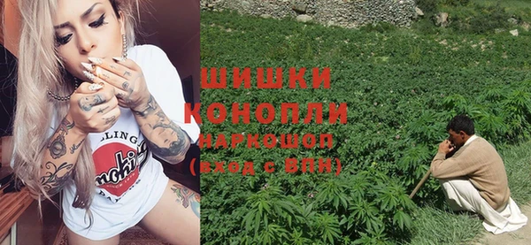 крисы Пересвет