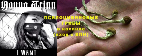 ГАЛЛЮЦИНОГЕННЫЕ ГРИБЫ Покров