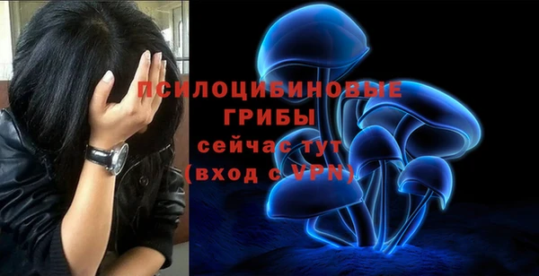 ГАЛЛЮЦИНОГЕННЫЕ ГРИБЫ Покров